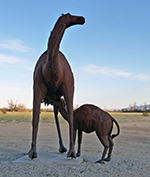 Tall Camel