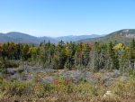 Mountain Panorama