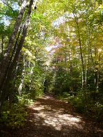 The Trail Ahead