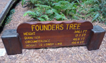 Founders Tree