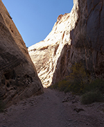 Capitol Gorge