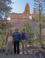 Tower Arch